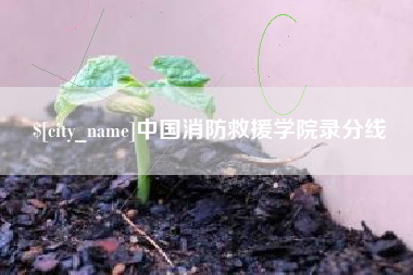 宁津中国消防救援学院录分线