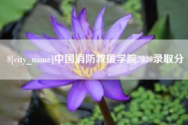 宁津中国消防救援学院2020录取分