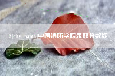 宁津中国消防学院录取分数线