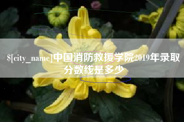 宁津中国消防救援学院2019年录取分数线是多少