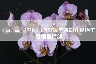 宁津中国消防救援学院简介及招生章程指挥部