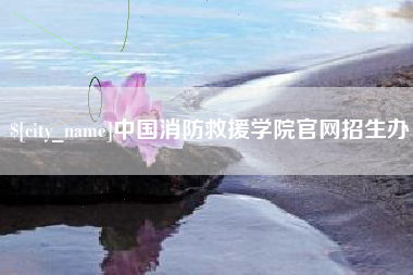 宁津中国消防救援学院官网招生办