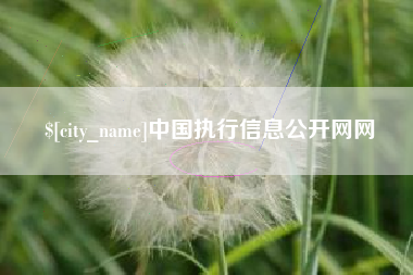 宁津中国执行信息公开网网