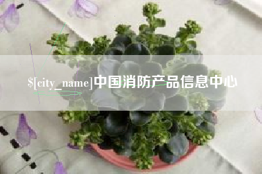 宁津中国消防产品信息中心