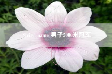 宁津男子5000米冠军