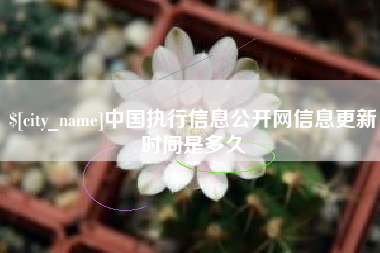宁津中国执行信息公开网信息更新时间是多久