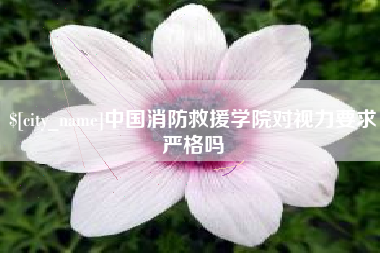 宁津中国消防救援学院对视力要求严格吗