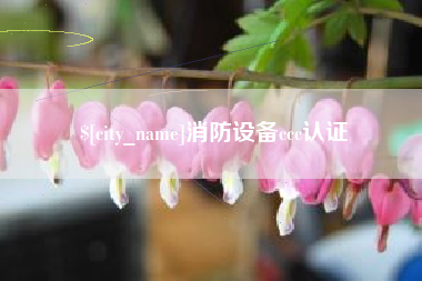 宁津消防设备ccc认证