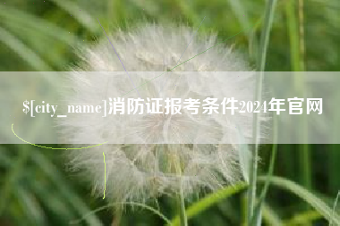 宁津消防证报考条件2024年官网