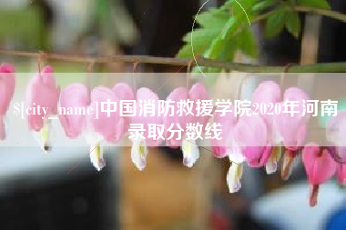 宁津中国消防救援学院2020年河南录取分数线