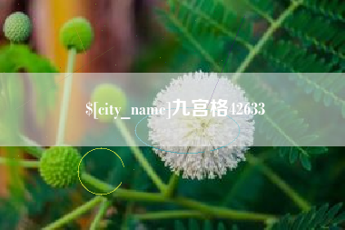 宁津九宫格42633