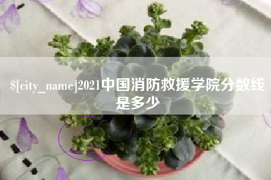 宁津2021中国消防救援学院分数线是多少