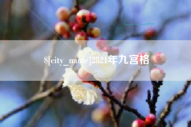 宁津2821年九宫格