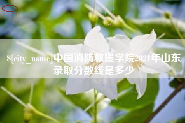 宁津中国消防救援学院2021年山东录取分数线是多少