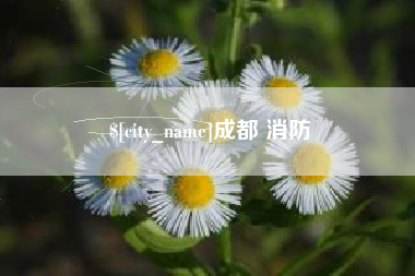 宁津成都 消防