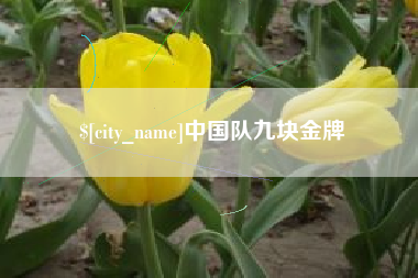 宁津中国队九块金牌