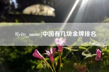 宁津中国有几块金牌排名