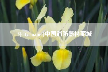 宁津中国消防器材商城