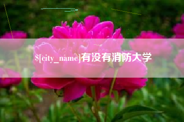 宁津有没有消防大学