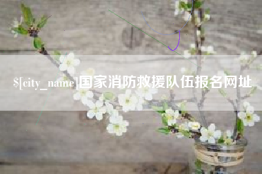 宁津国家消防救援队伍报名网址