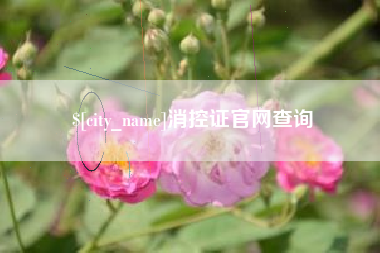 宁津消控证官网查询