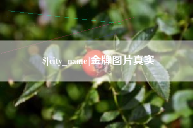 宁津金牌图片真实