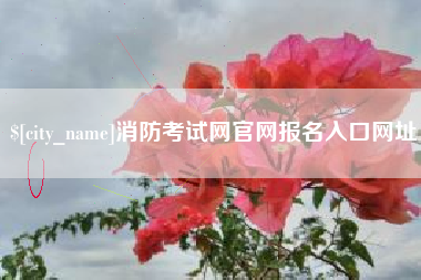 宁津消防考试网官网报名入口网址