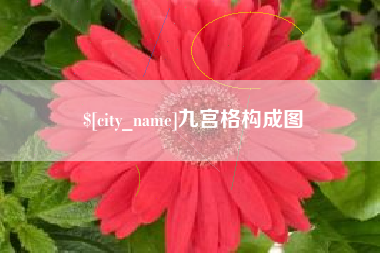 宁津九宫格构成图