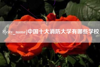 宁津中国十大消防大学有哪些学校
