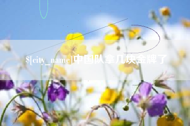 宁津中国队拿几块金牌了