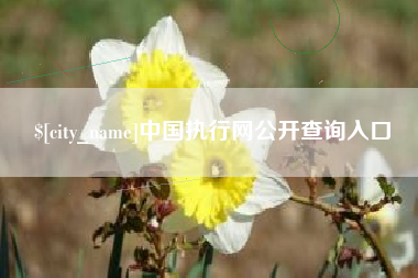 宁津中国执行网公开查询入口