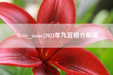 宁津2021年九宫格分解图