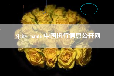 宁津中国执行信息公开网