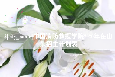 宁津中国消防救援学院2020年在山东招生计划表