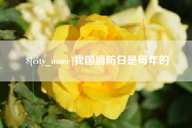 宁津我国消防日是每年的