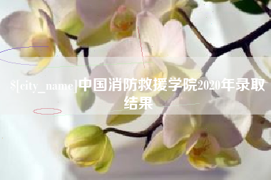 宁津中国消防救援学院2020年录取结果