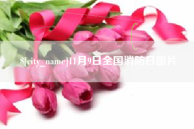 宁津11月9日全国消防日图片