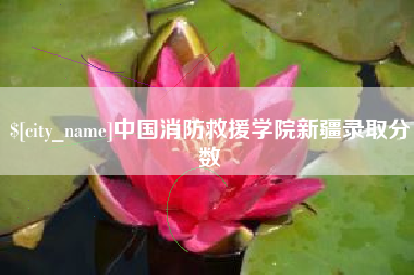 宁津中国消防救援学院新疆录取分数