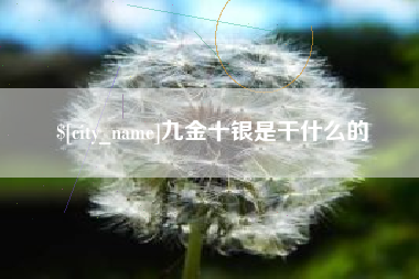 宁津九金十银是干什么的