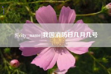 宁津我国消防日几月几号