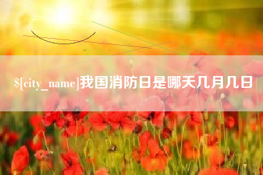 宁津我国消防日是哪天几月几日