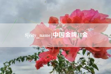 宁津中国金牌18金