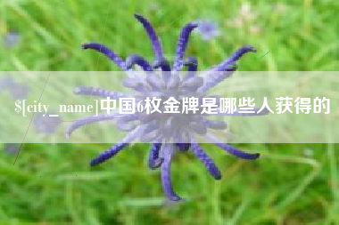 宁津中国6枚金牌是哪些人获得的