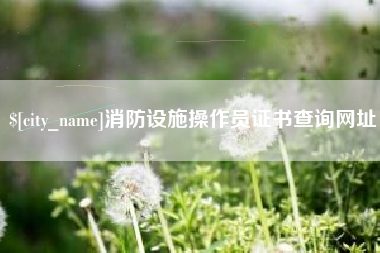 宁津消防设施操作员证书查询网址