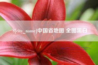 宁津中国省地图 全图黑白