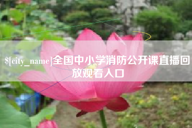 宁津全国中小学消防公开课直播回放观看入口