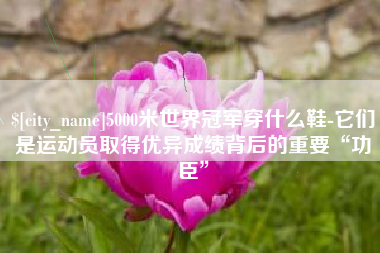 宁津5000米世界冠军穿什么鞋-它们是运动员取得优异成绩背后的重要“功臣”