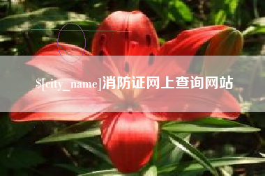 宁津消防证网上查询网站
