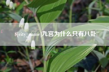 宁津九宫为什么只有八卦