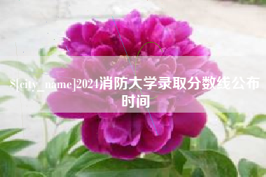 宁津2024消防大学录取分数线公布时间